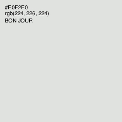 #E0E2E0 - Bon Jour Color Image